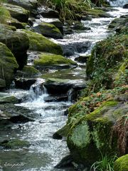 Escalier à eau