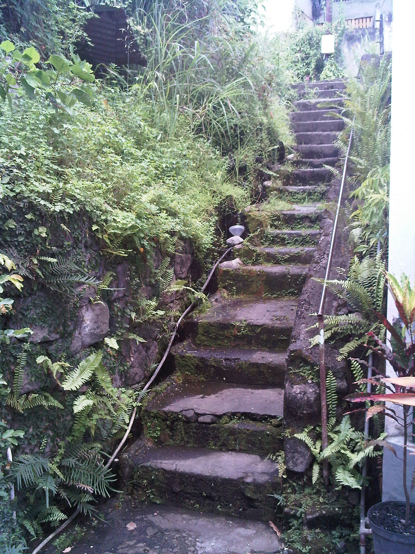 escalier du 19ème siècle à Basse-terre