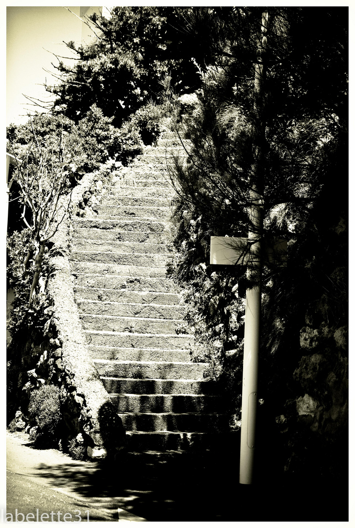 Escalier