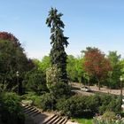 Escaliers de l'esplanade