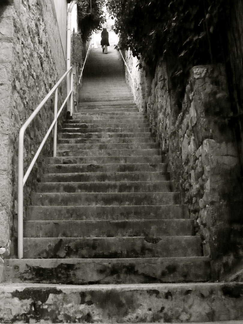 Escaliers du caroubier