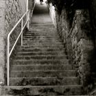 Escaliers du caroubier