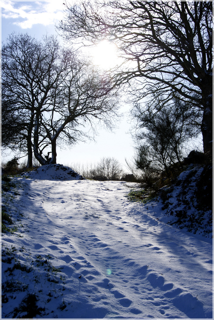 Escapade dans la neige =)