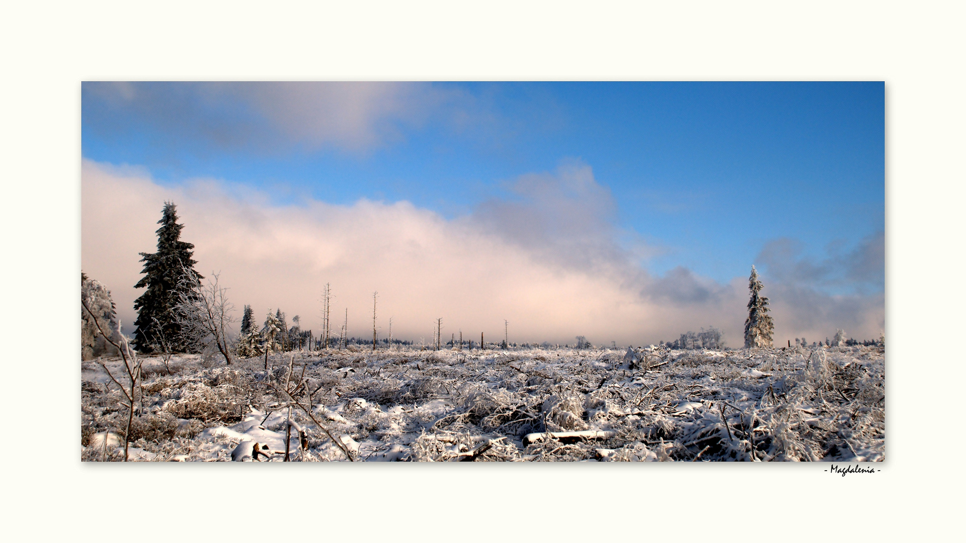 Escapade hivernale