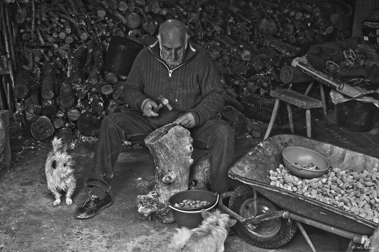 Escascando almendras