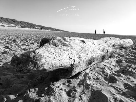 Escenas playeras (I)