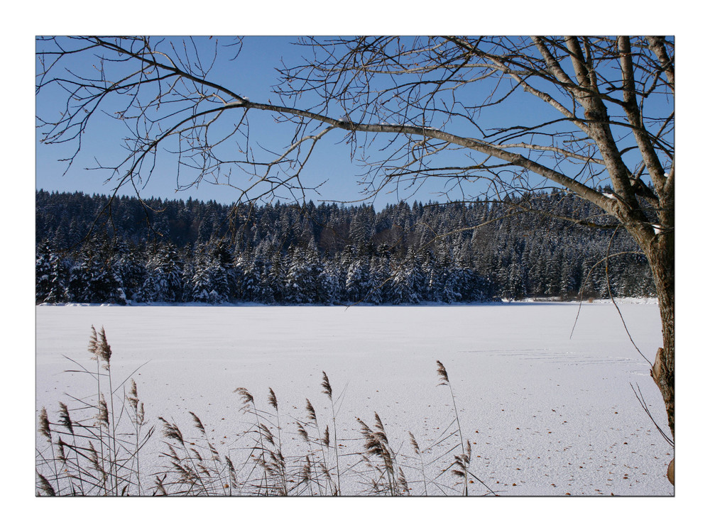 Eschacher Weiher - Winter