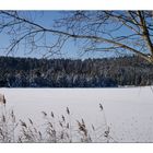 Eschacher Weiher - Winter