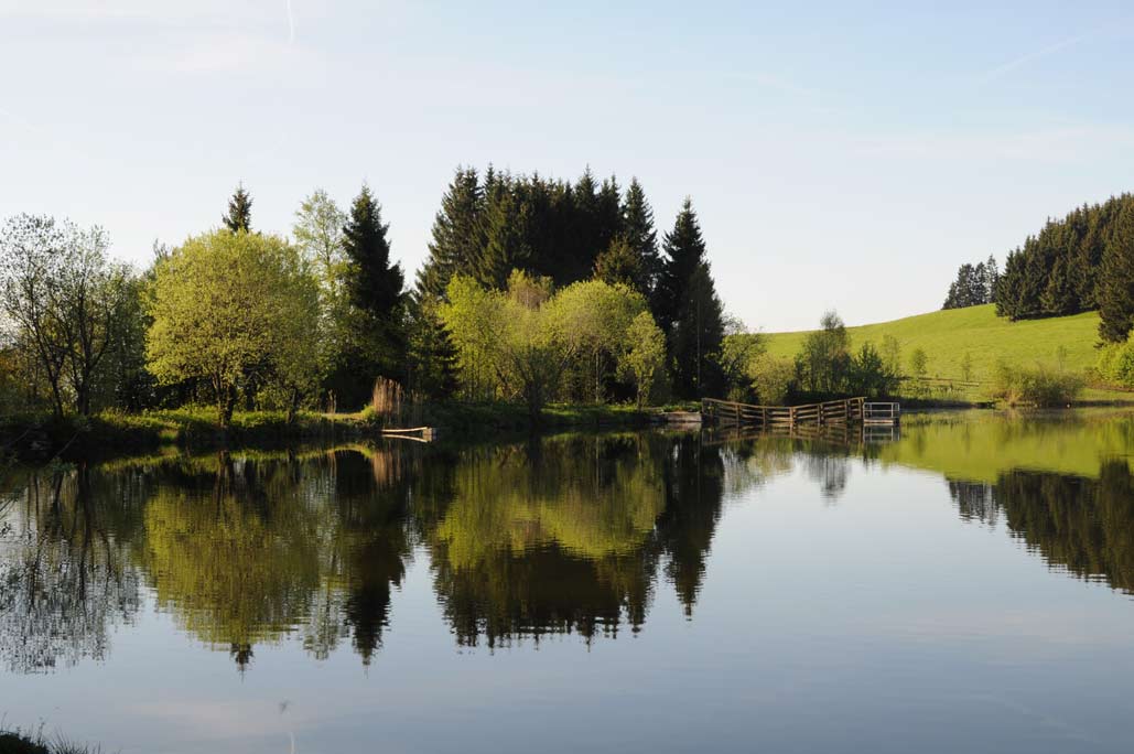 Eschachweiher