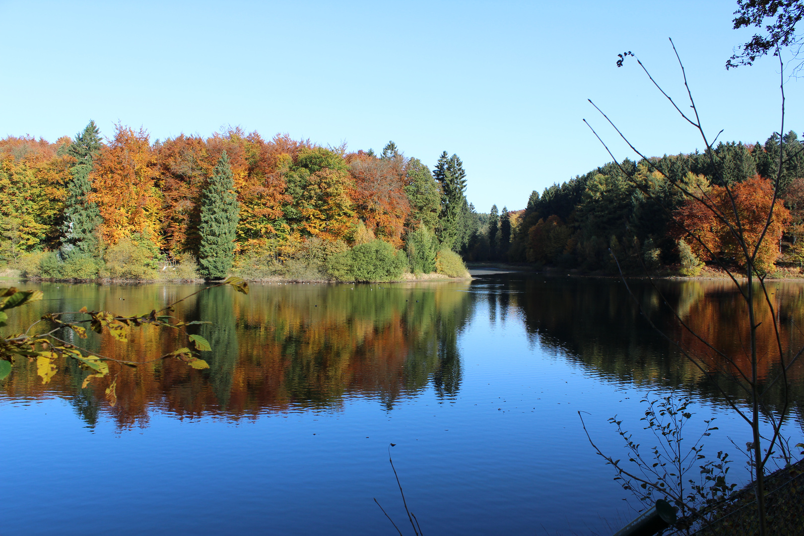 Eschbach Talsperre im herbstlichen Glanz