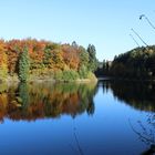 Eschbach Talsperre im herbstlichen Glanz