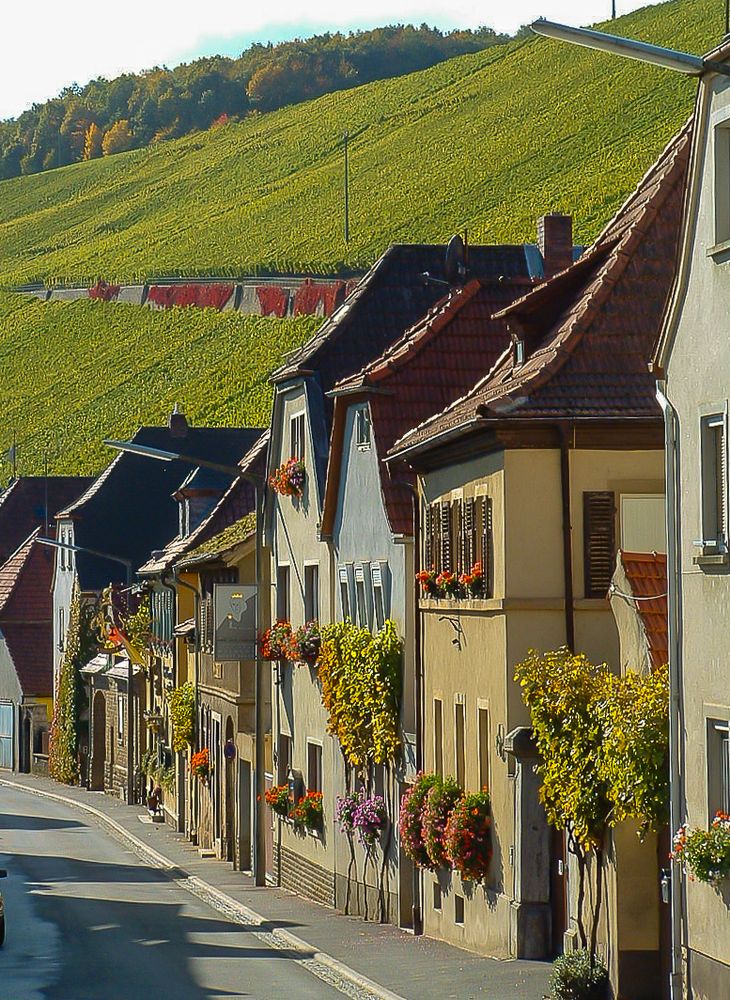 Escherndorf - ein Weinort in Mainfranken