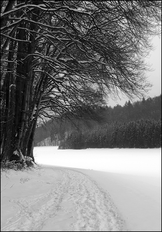 Eschheimertal