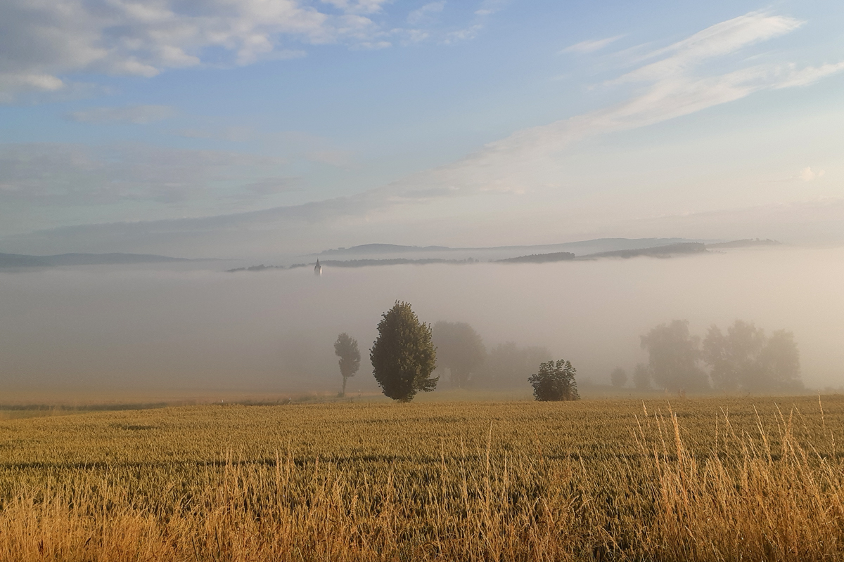 Eschlkam im Nebel