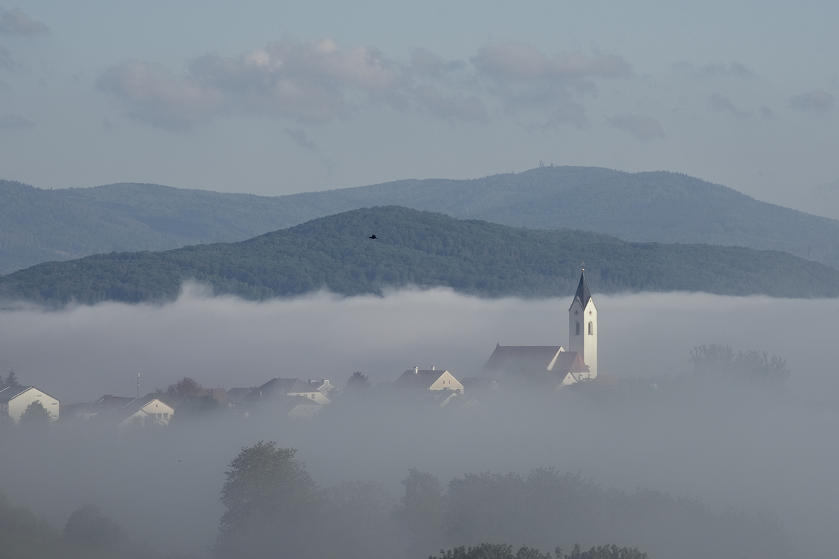 Eschlkam im Nebel II