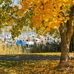 Eschwege - Herbst an der Werra