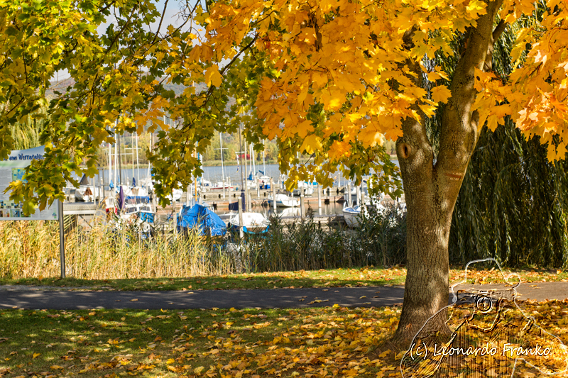 Eschwege - Herbst an der Werra