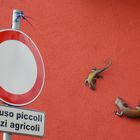 escluso piccoli mezzi agricoli