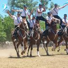 ESCUADRA AZUL POLICIA FEDERAL