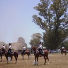 escuadra azul, policia federal argentina