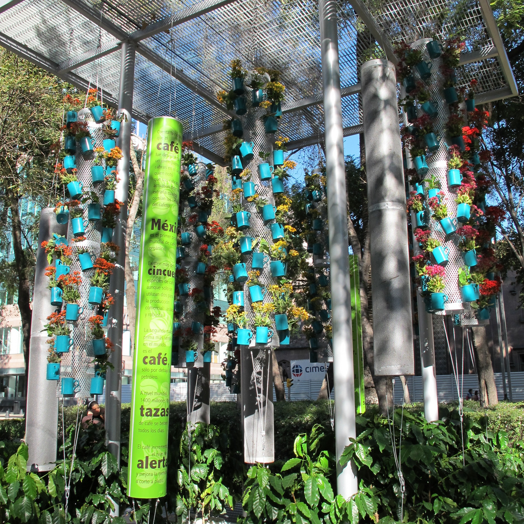 escultura de tazas con plantas de café