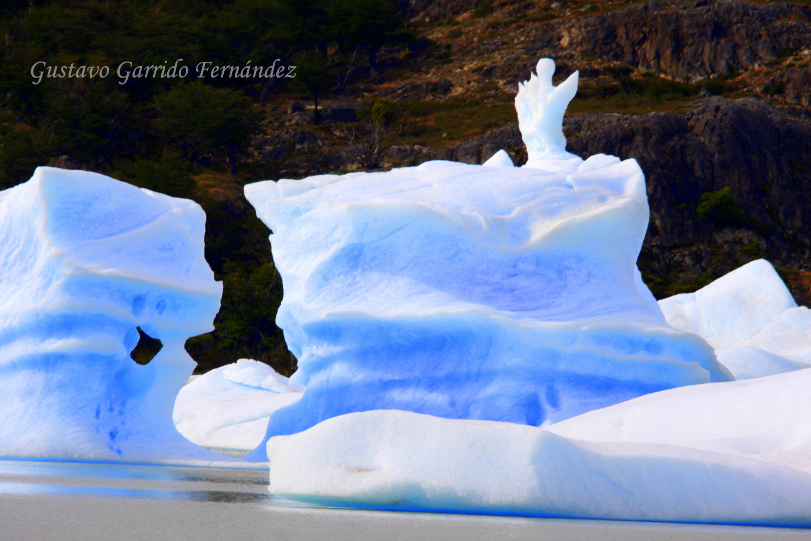 "Escultura Natural"