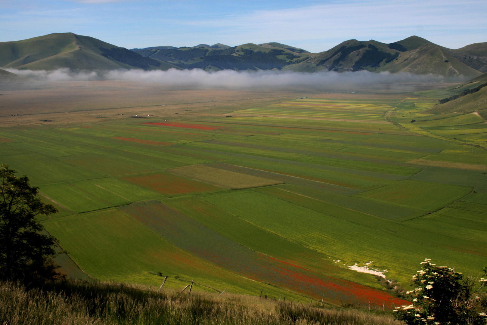 Escursione al Pian Grande di Castelluccio ( da Catturando ricordi )