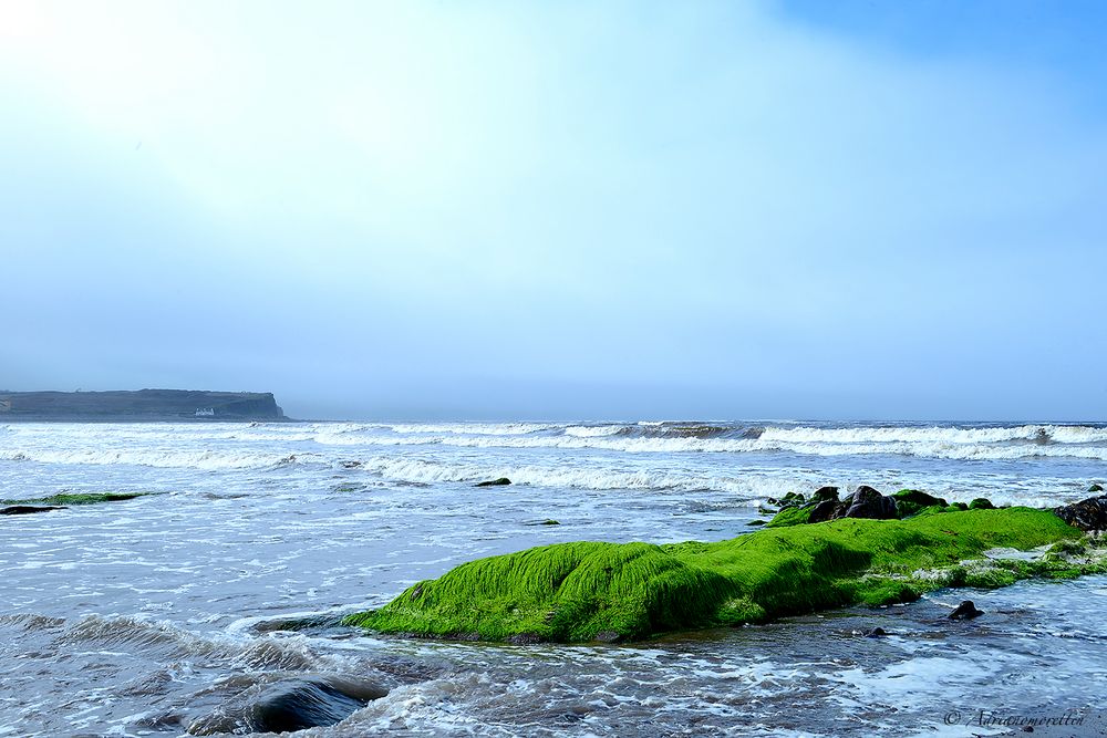 escursioni di marea in Irlanda