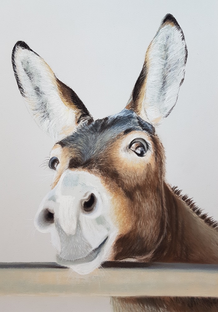 Esel Foto Bild Kunstfotografie Kultur Gemalde Skulpturen Gemalde Und Zeichnungen Bilder Auf Fotocommunity