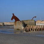 Esel am Strand