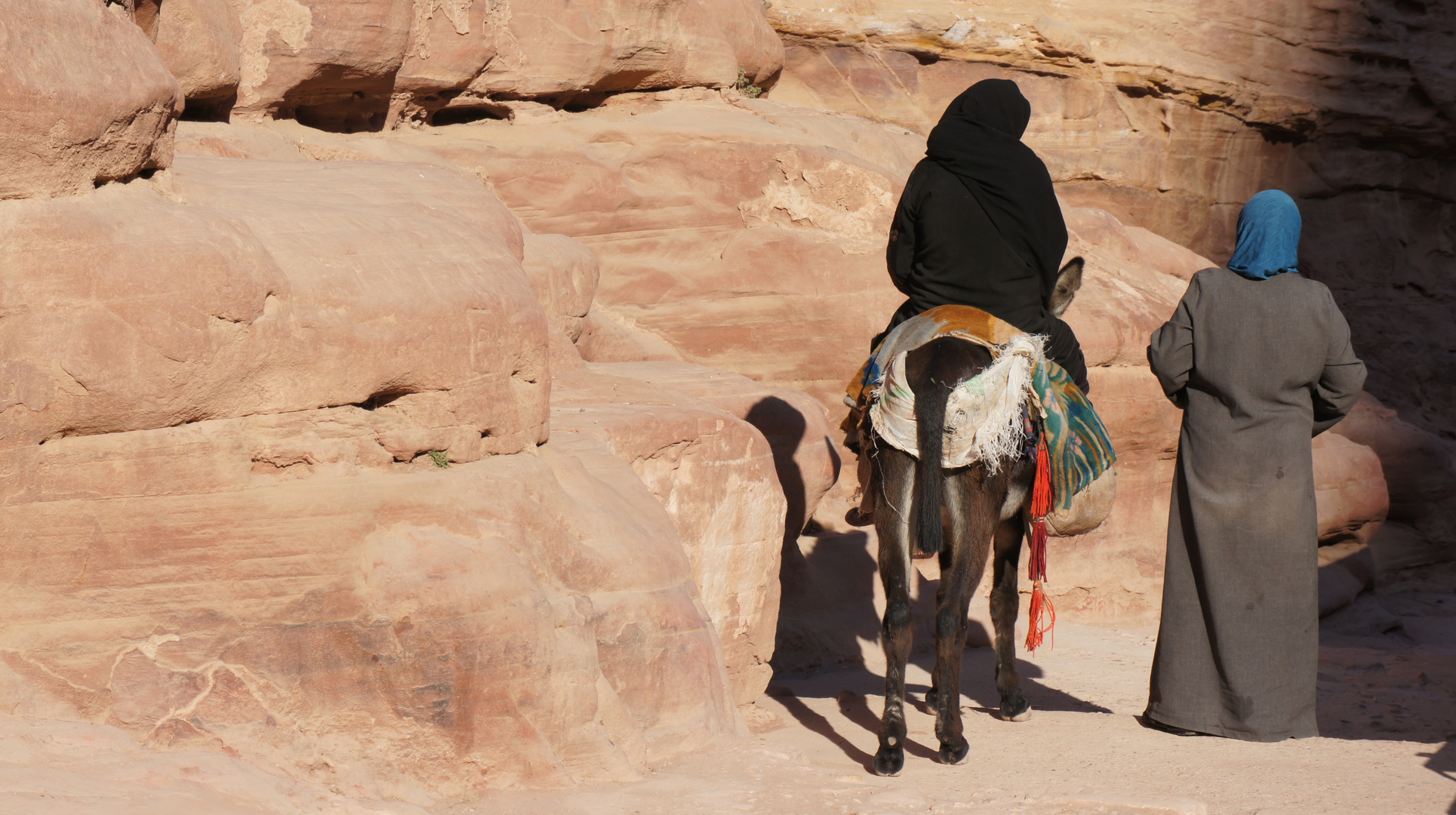 Esel in Petra....