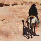 Esel in Petra....