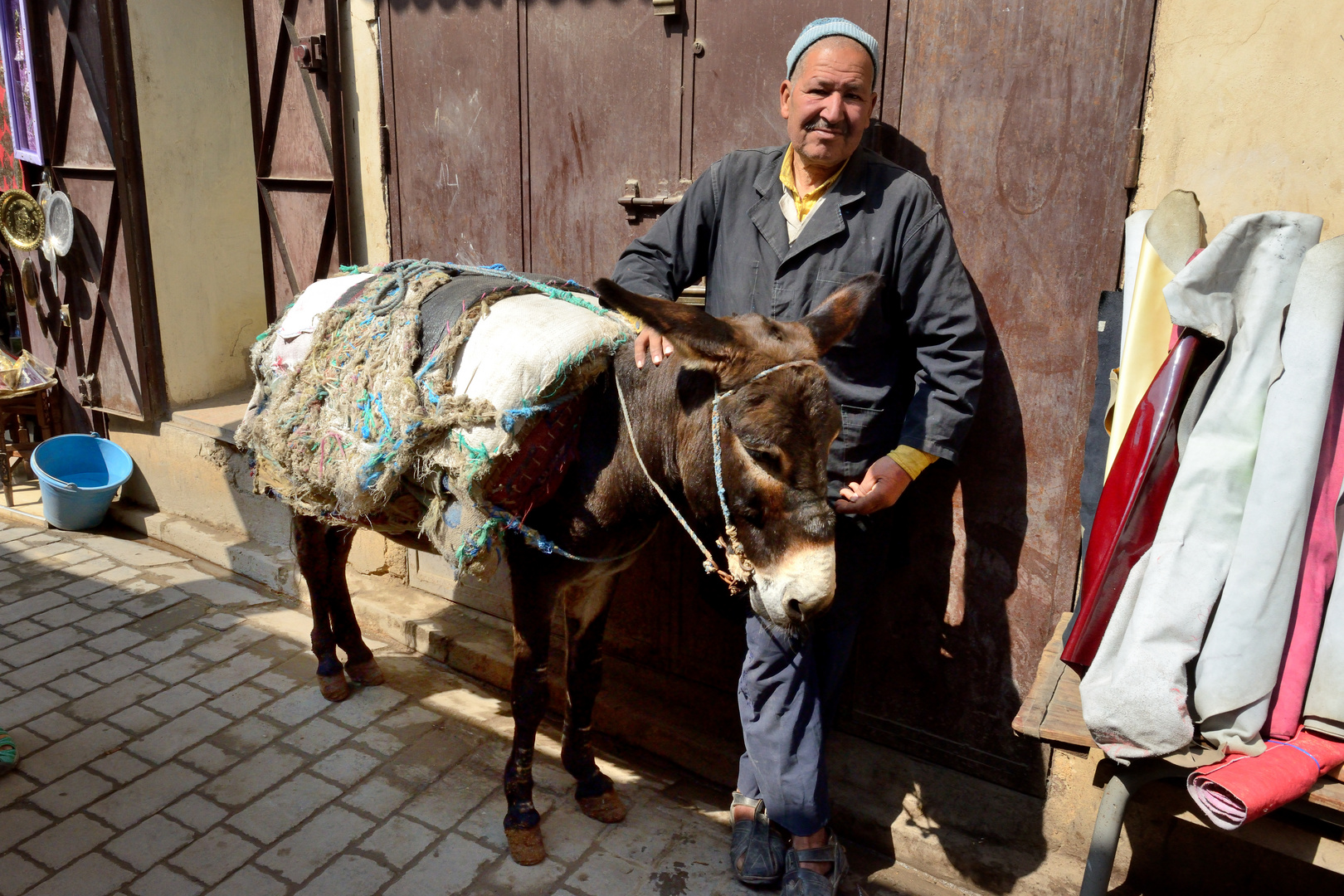 Esel macht Pause in Fes