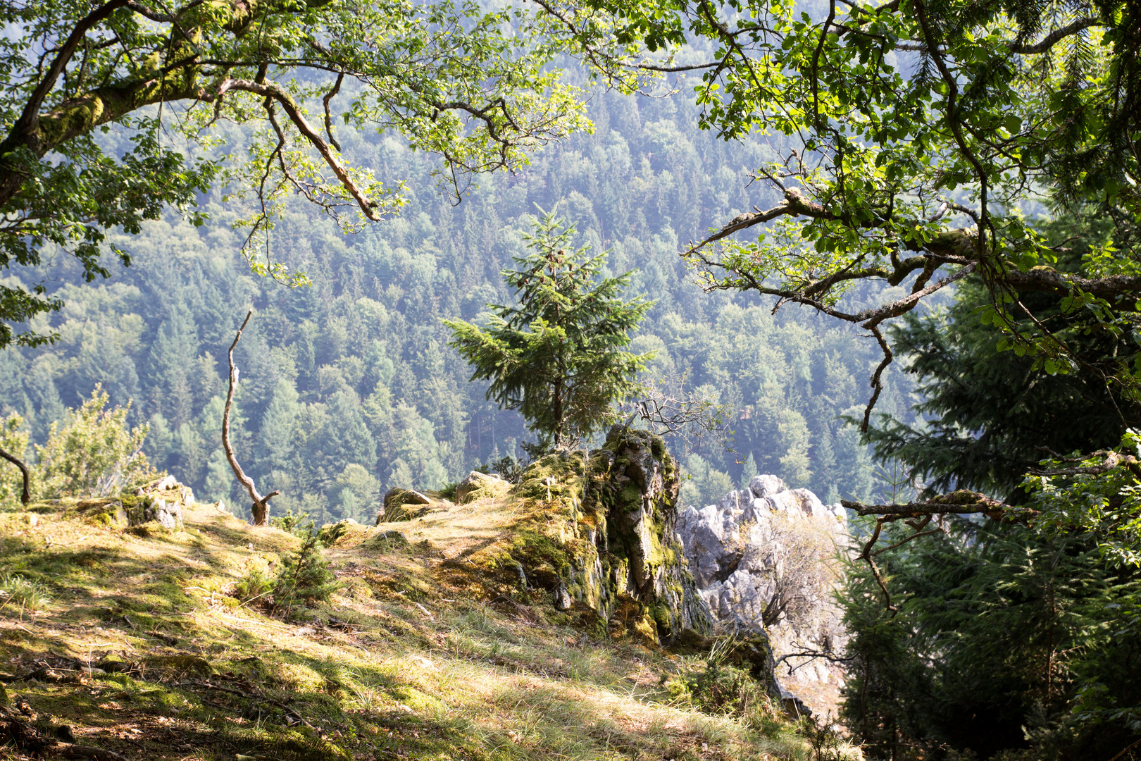 Eselgrabenfelsen