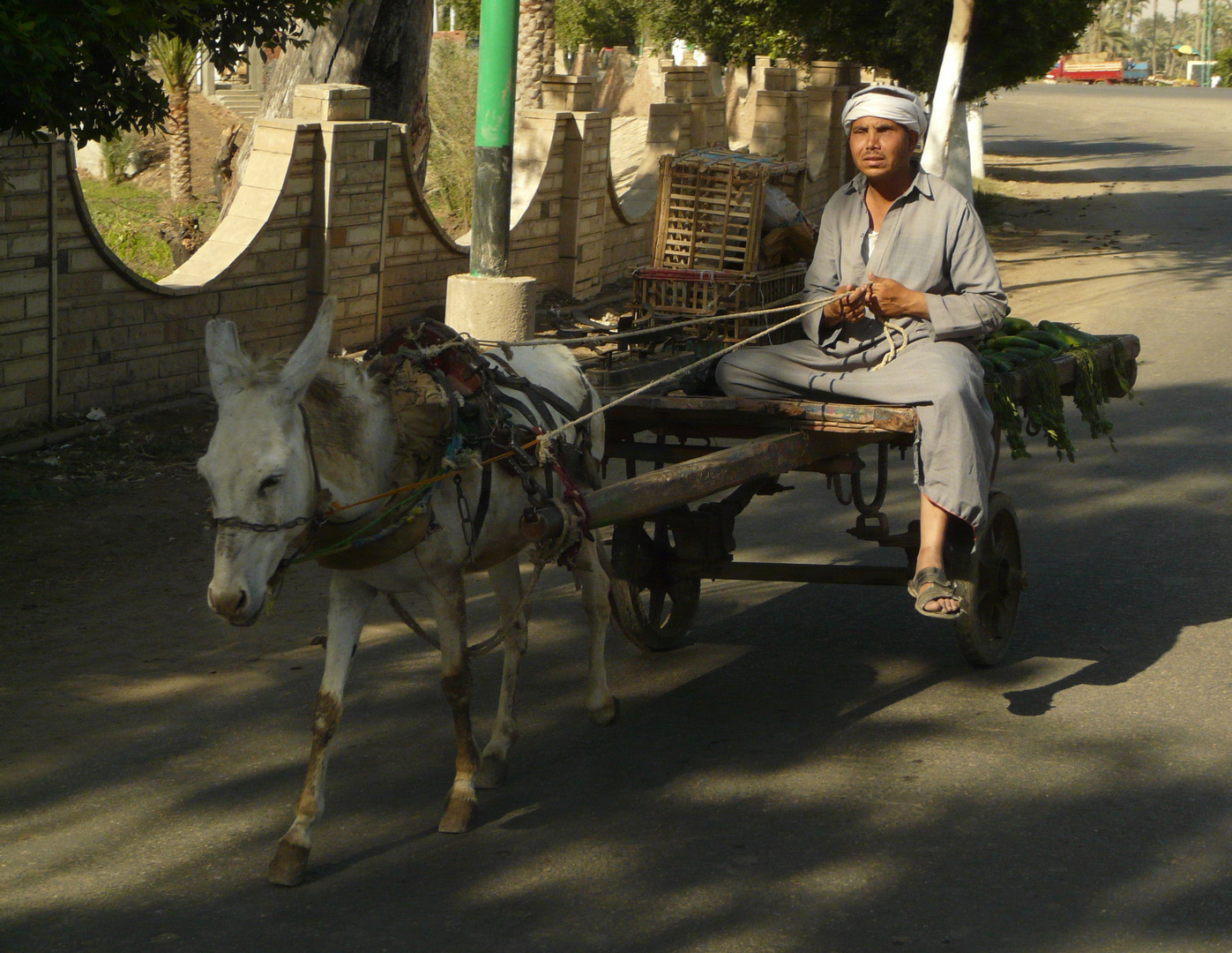 Eselkarren in Kairo