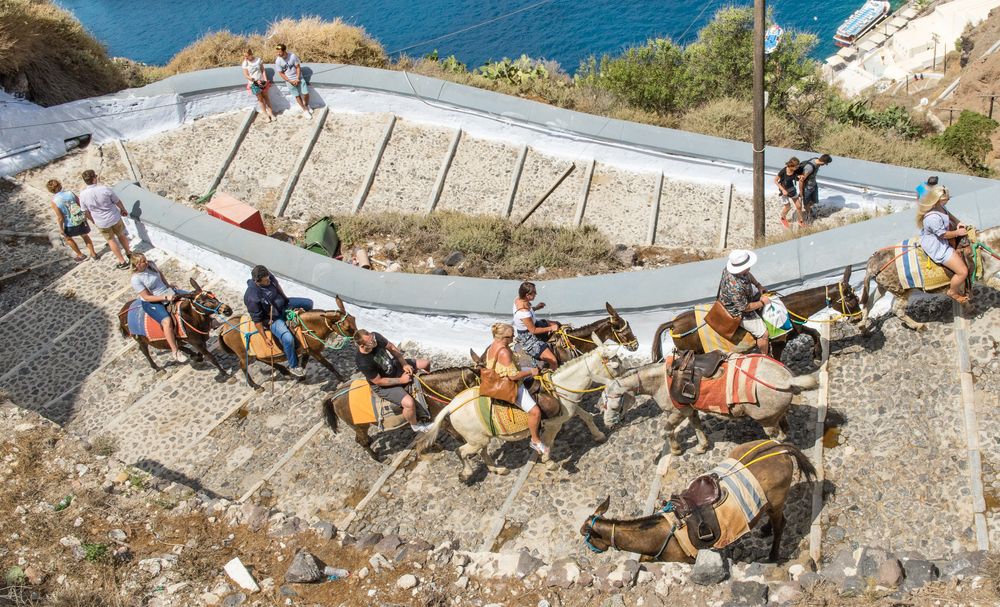 Eselpfad in Fira I - Santorin/Griechenland