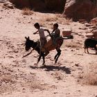 Eselrodeo in Petra (Jordanien)