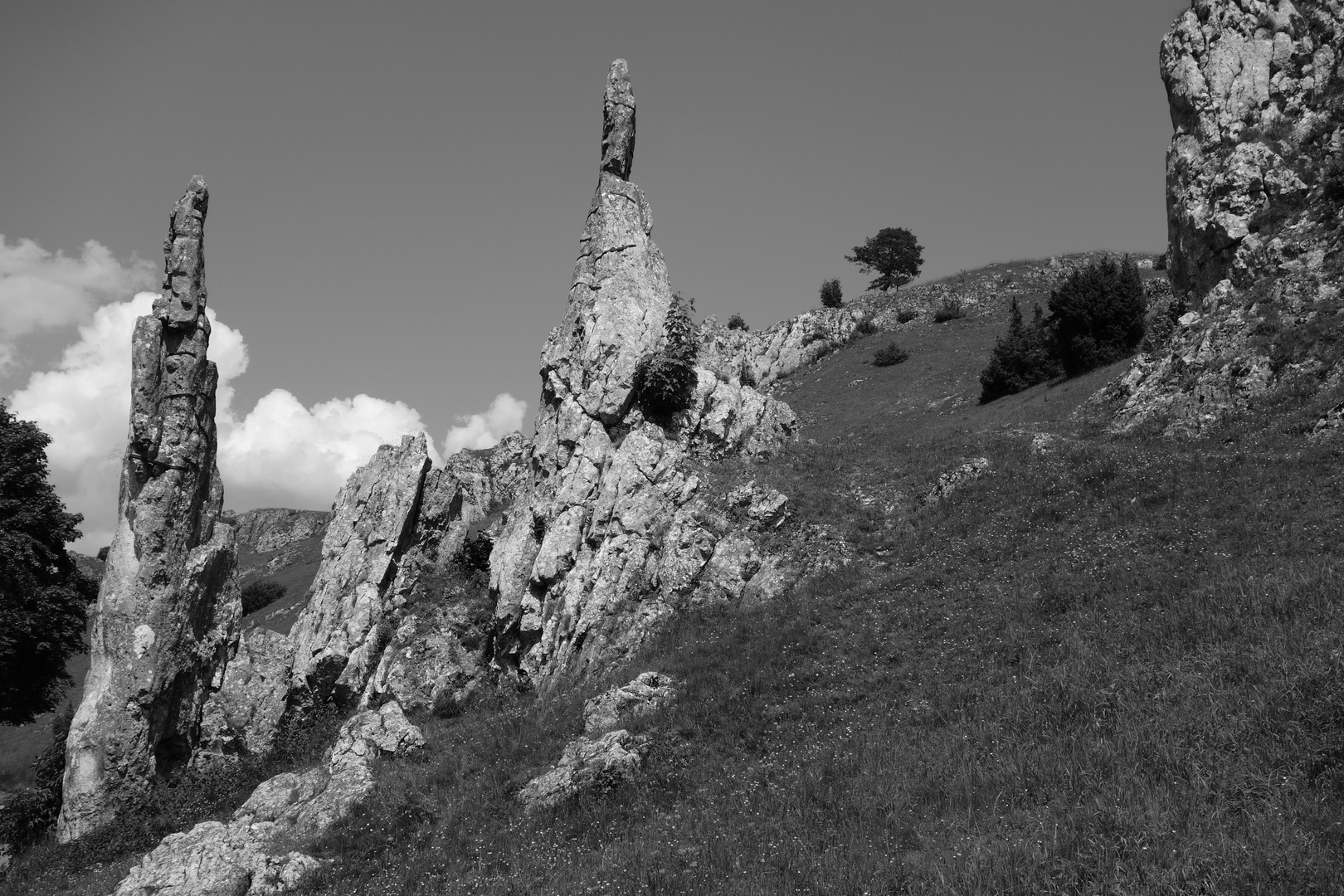 Eselsburger Tal Foto & Bild landschaft, heide, eselsburger tal Bilder