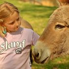 Eseltreffen im Tierpark Sababurg