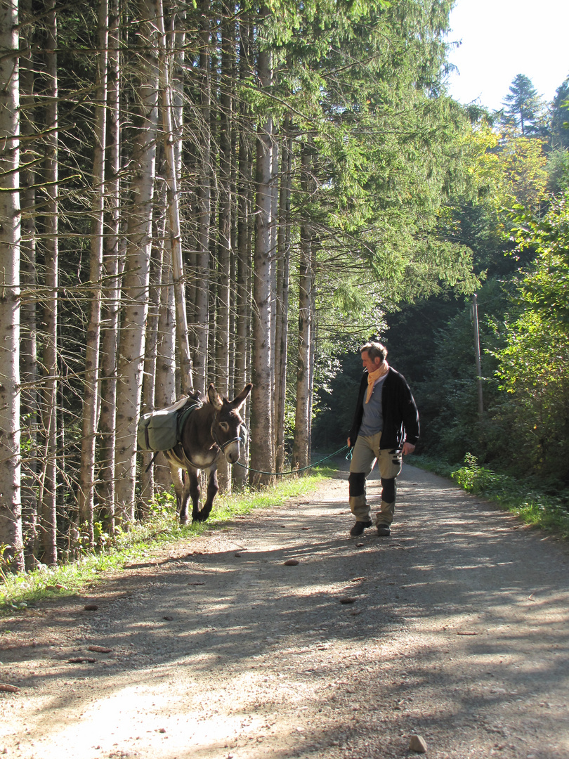 Eselwanderung in den Flitterwochen II