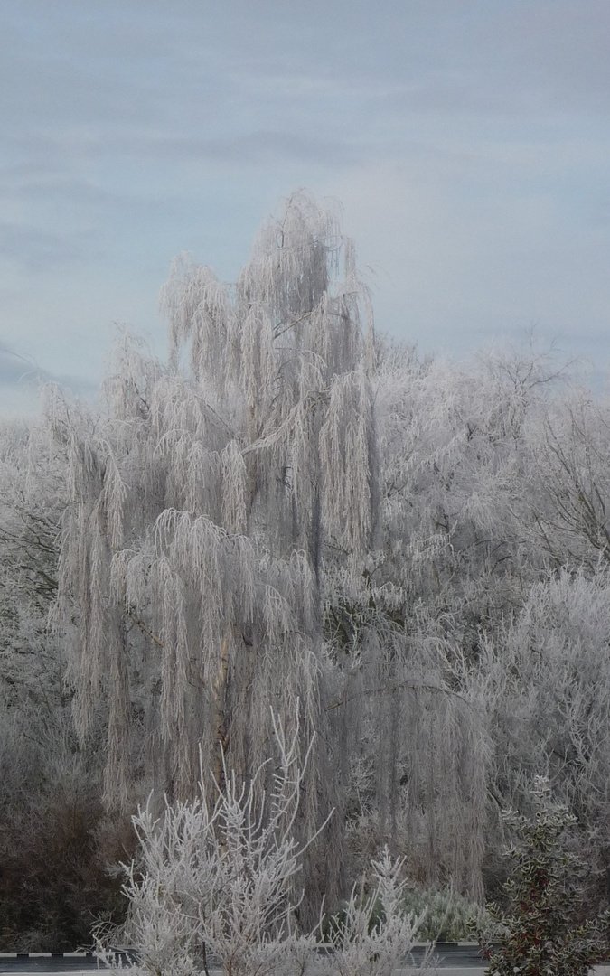 Esens im Dezember 2009