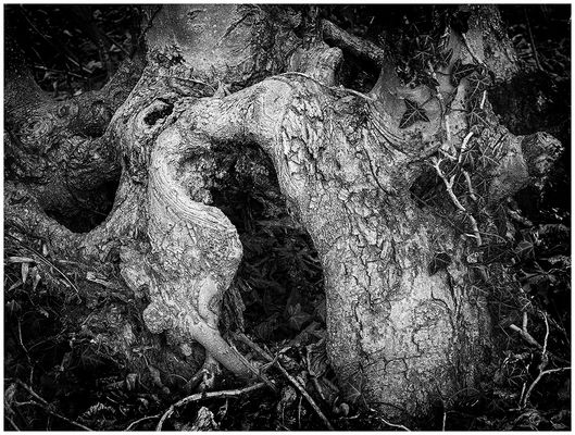 ESERCIZI DI SOPRAVVIVENZA