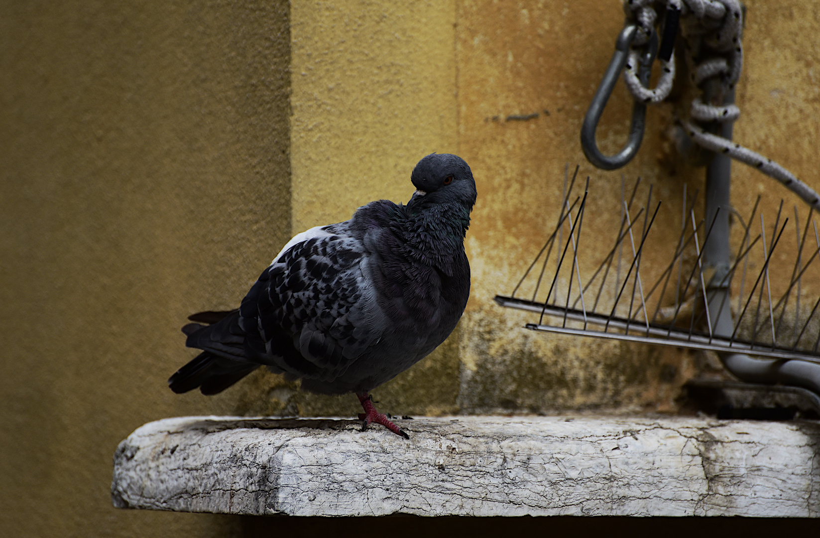 Esercizio di equilibrio