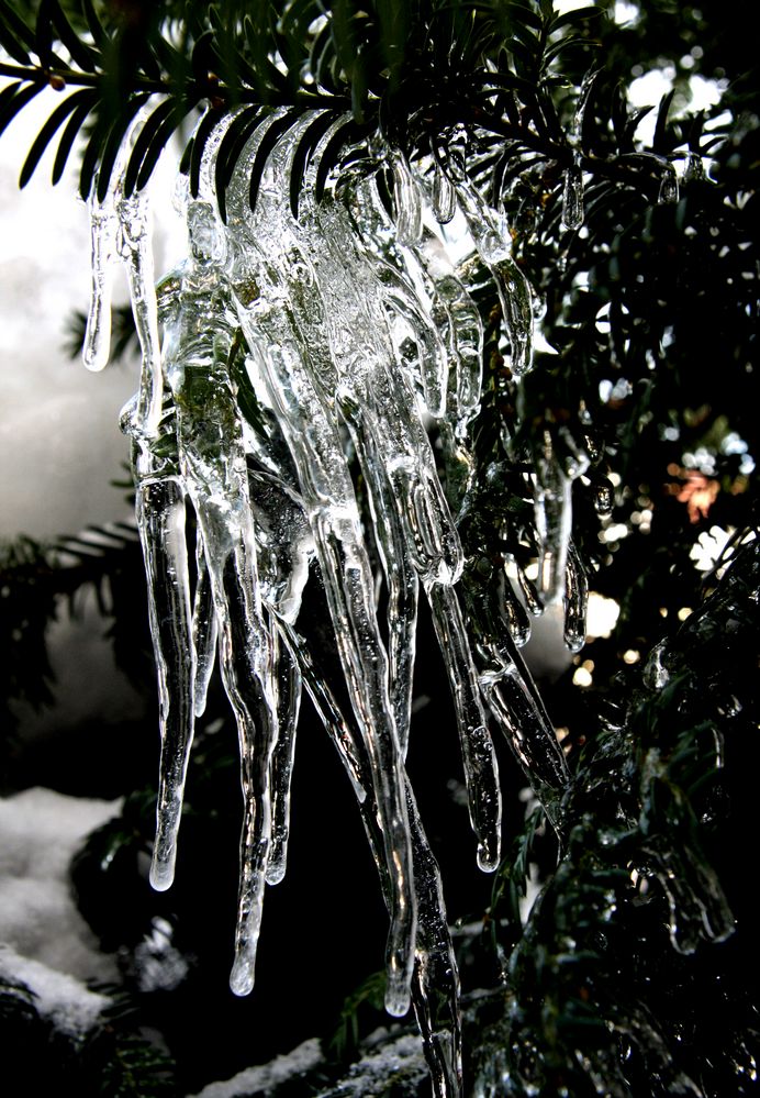 "Eskarpades des Winters" - Ice-Drops