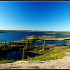 Esker - Eiszeitliche Geröllhalden entlang des Thelon Rivers mit resten borealer Vegetation