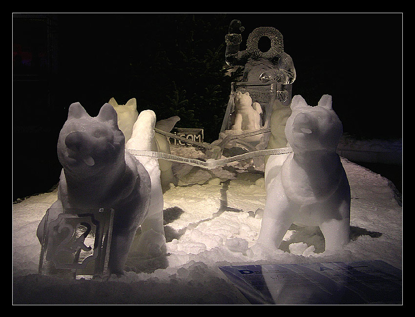 Eskimo mit Hundeschlitten... (2)