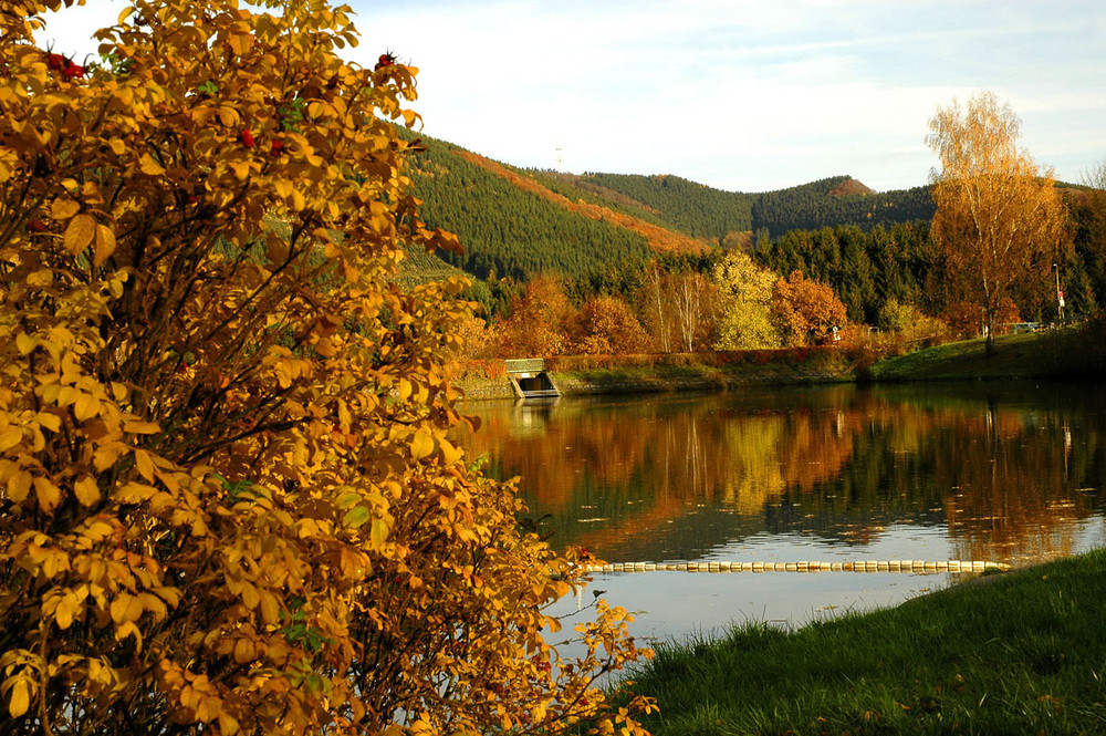 Esmecke Stausee bei Wenholthausen