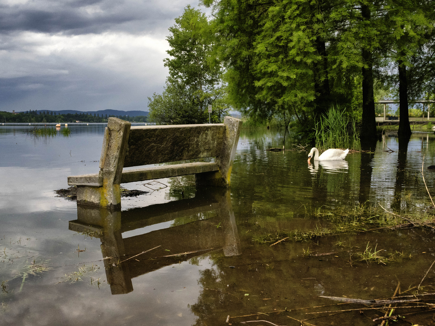 Esondazione, lago di Varese