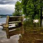 Esondazione, lago di Varese