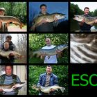 ESOX